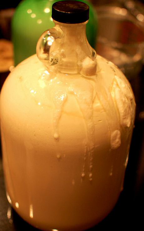 Advocaat recept stap voor stap foto's: eierdooiers mixen met melk, suiker en alcohol. Laten rusten in bokalen tot het indikt en donkergeel kleurt.