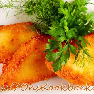 Kaaskroketten Jeroen Meus