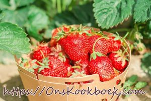Vers geplukte aardbeien in een kartonnen doosje, met aardbeiplanten op de achtergrond